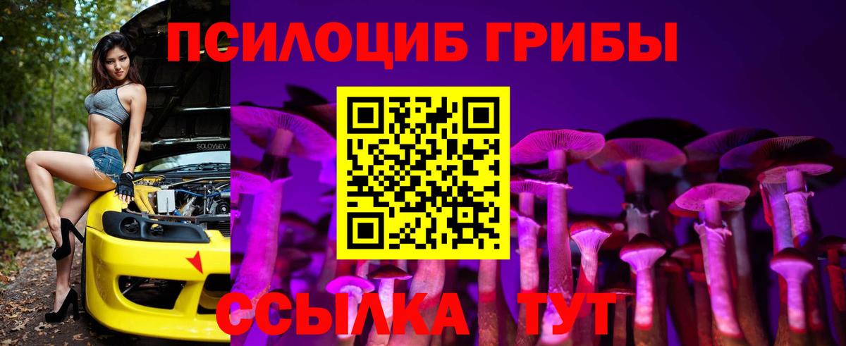 Галлюциногенные грибы Magic Shrooms  Псилоцибиновые грибы ЛСД  магазин продажи   Вход с VPN  Кызыл 